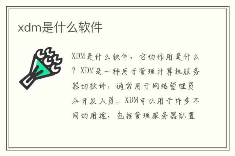 xdm是什么软件(xdm是什么app)